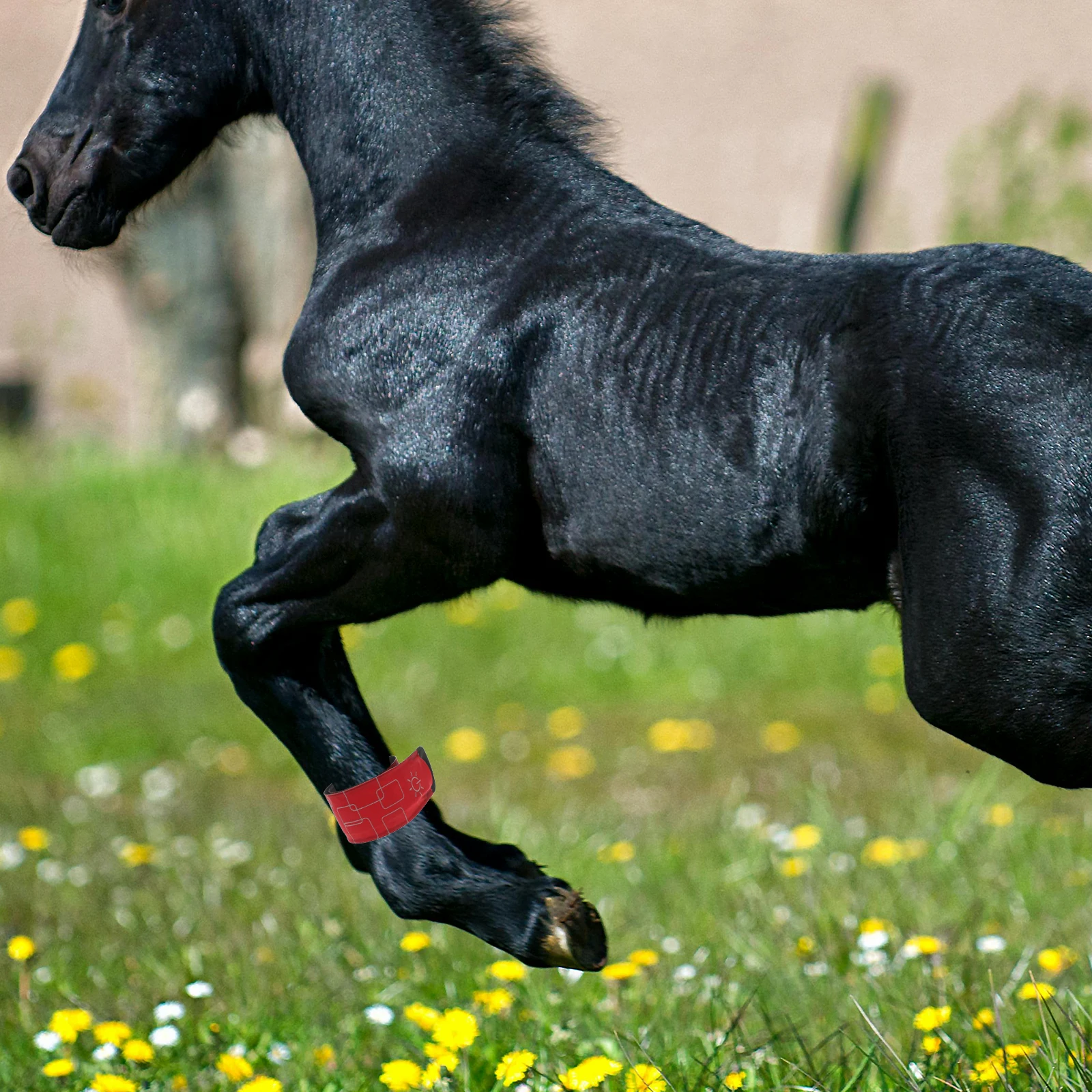 Рисунок 5 - светящийся светодиодный ремешок