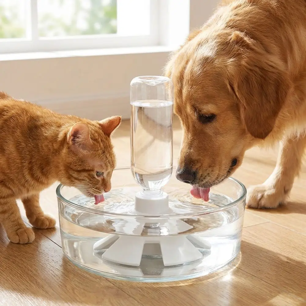 Anti-Slip Automatic Pet Water Dispenser Anti Overturning Plastic Cat Water Bowl Auto Refill Water Constant Water Level