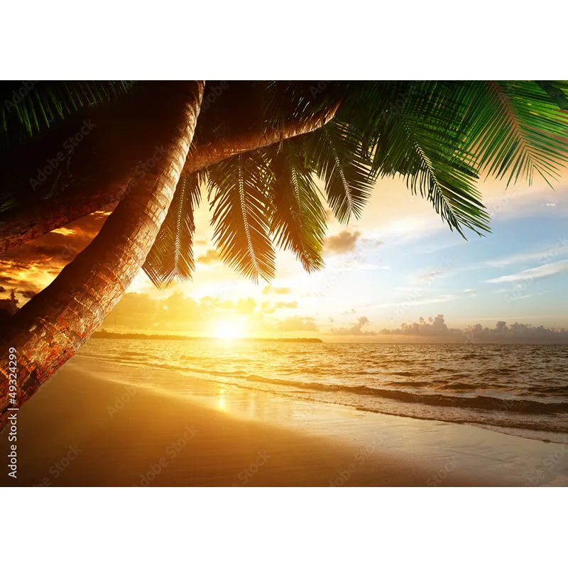 Fondo de fotografía Tropical mar playa palmeras árbol Scenic Photo Backdrops Photocall Studio HHB 05