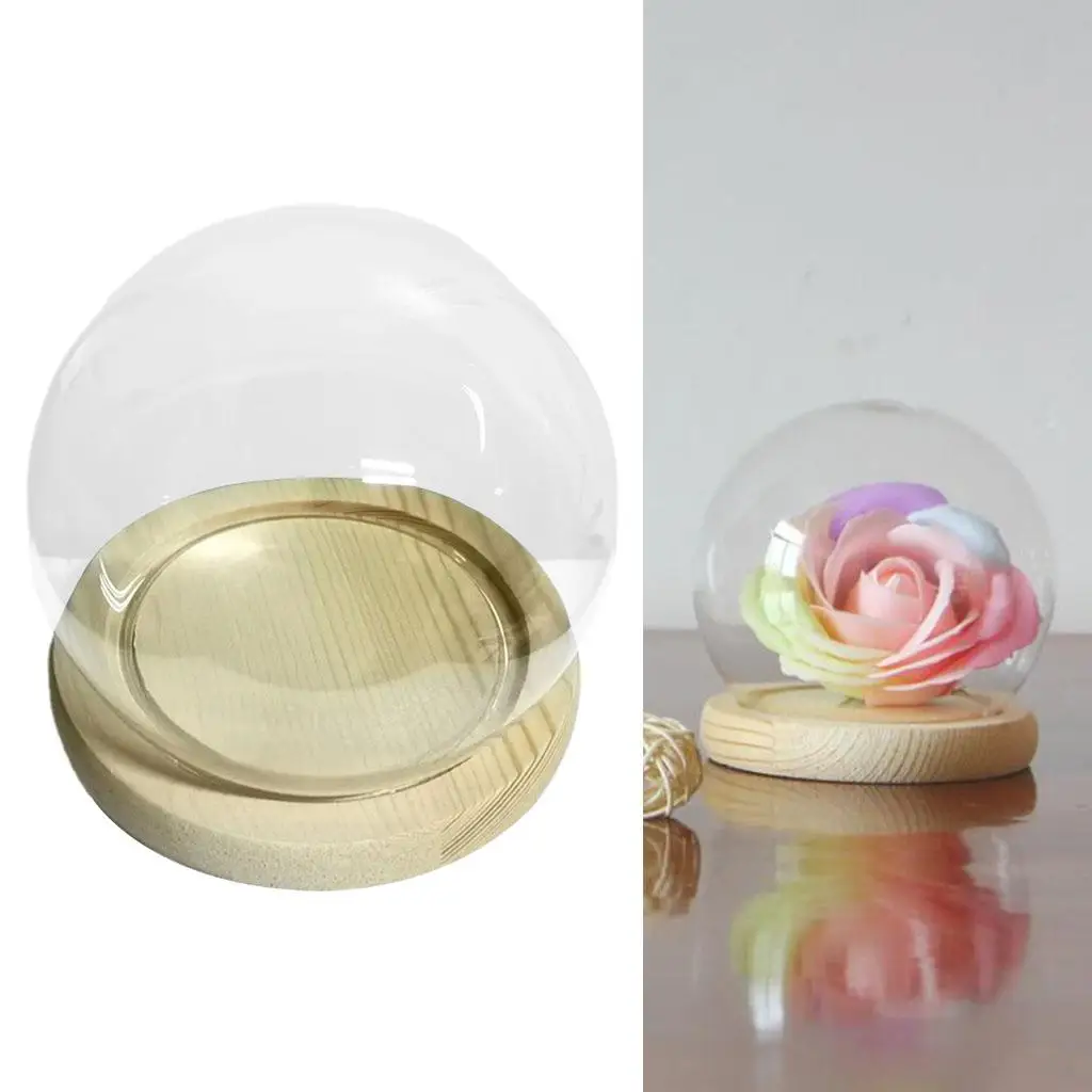 Decorative Ball Shaped Cloche Jar Terrarium with Wood Base for Office Living Room Tabletop Display