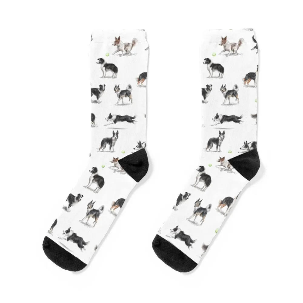 Border Collies Socks Stockings Lots sheer sport Girl'S Socks Men's