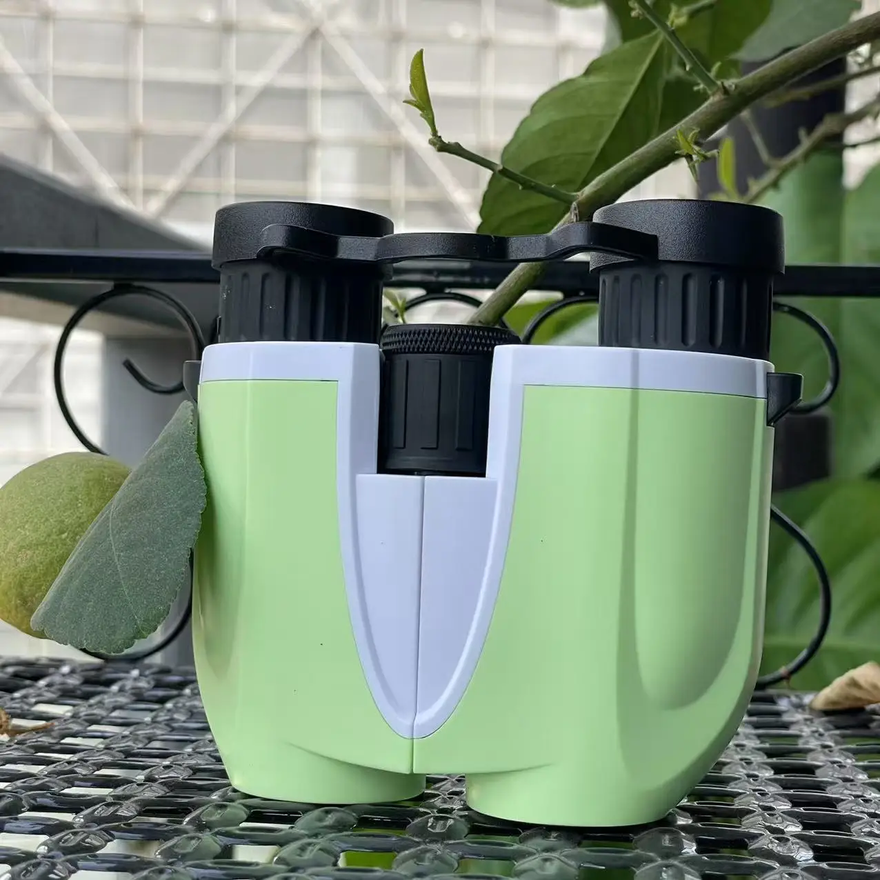 

10x25 Compact L Binoculars for Adults - Large View with Low Light Vision & Easy Focus | Small, Lightweight Design for Bird