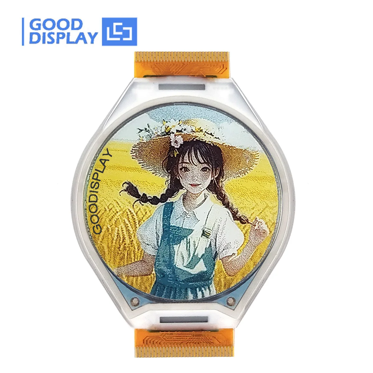 1.69' Circular Spectra 6 Color E Ink Display 400x400 Pixels 262K Color EPaper 236 PPI GDEH0169E01