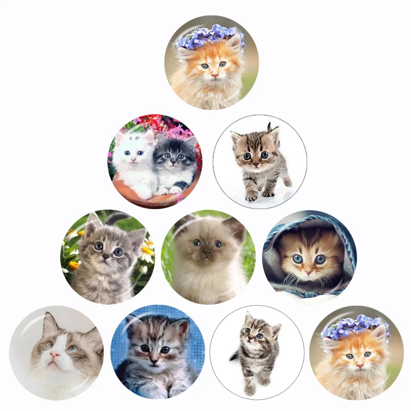 kawaii Pet Cat Pattern 10pcs 12mm/16mm/18mm/20mm/25mm/30mm Round Photo Glass Cabochon Demo Flat Back Making Findings