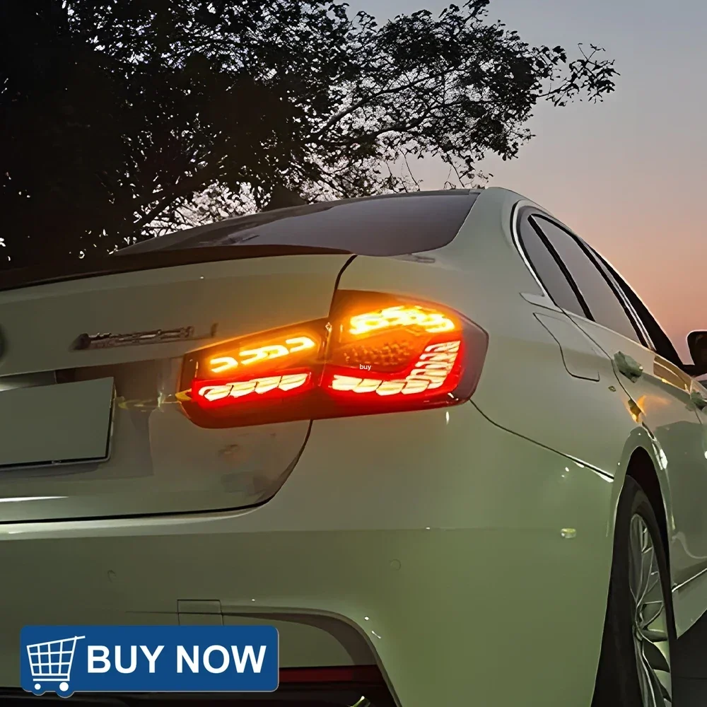 

Car LED Taillights Assembly For BMW 3 Series F30 318i 320i 325i 330i 2013-2019 Upgrade Double Dragon scale Taillight Accessories