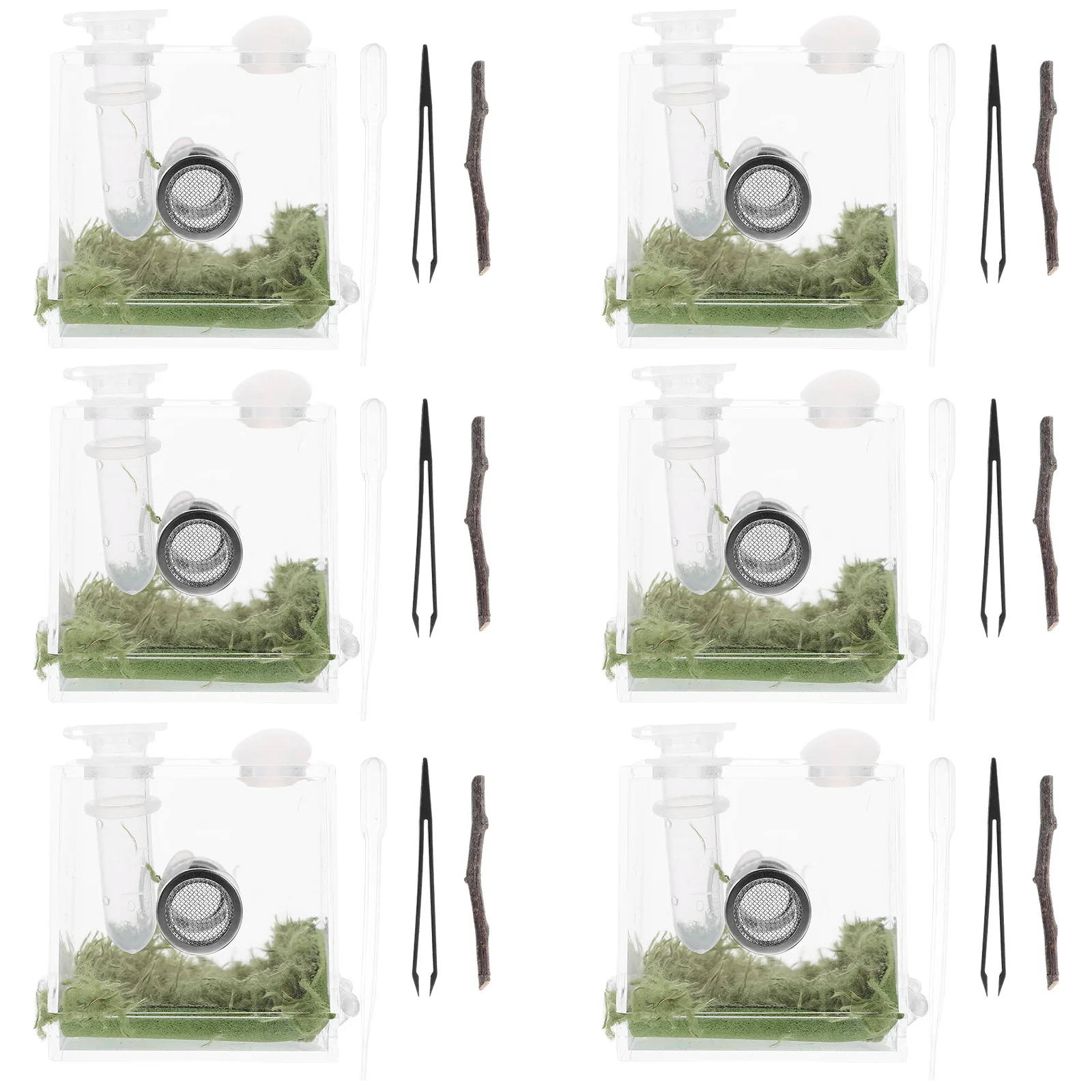 

2 Sets Jumping Spider Enclosure Breeding Box Glass Acrylic Terrarium Transparent Durable Ventilation Reptile