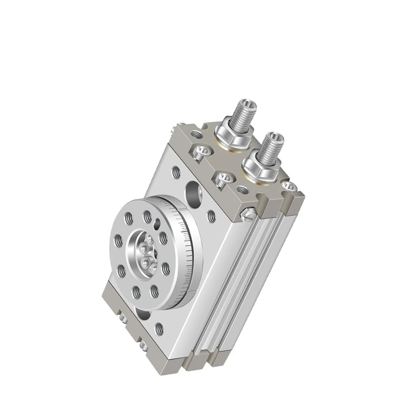 Rotating Pendulum Cylinder MSQB1A MSQB2A MSQB3A MSQB7A MSQB10A MSQB20A MSQB30A MSQB50A MSQB10R MSQB20R MSQB30R MSQB50R