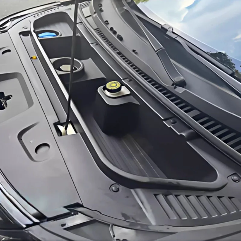 Heavy Duty Front Trunk Cargo Box for BYD Dolphin 2025, Dustproof Anti-Slip Storage Organizer, Maximize Frunk Modified Part