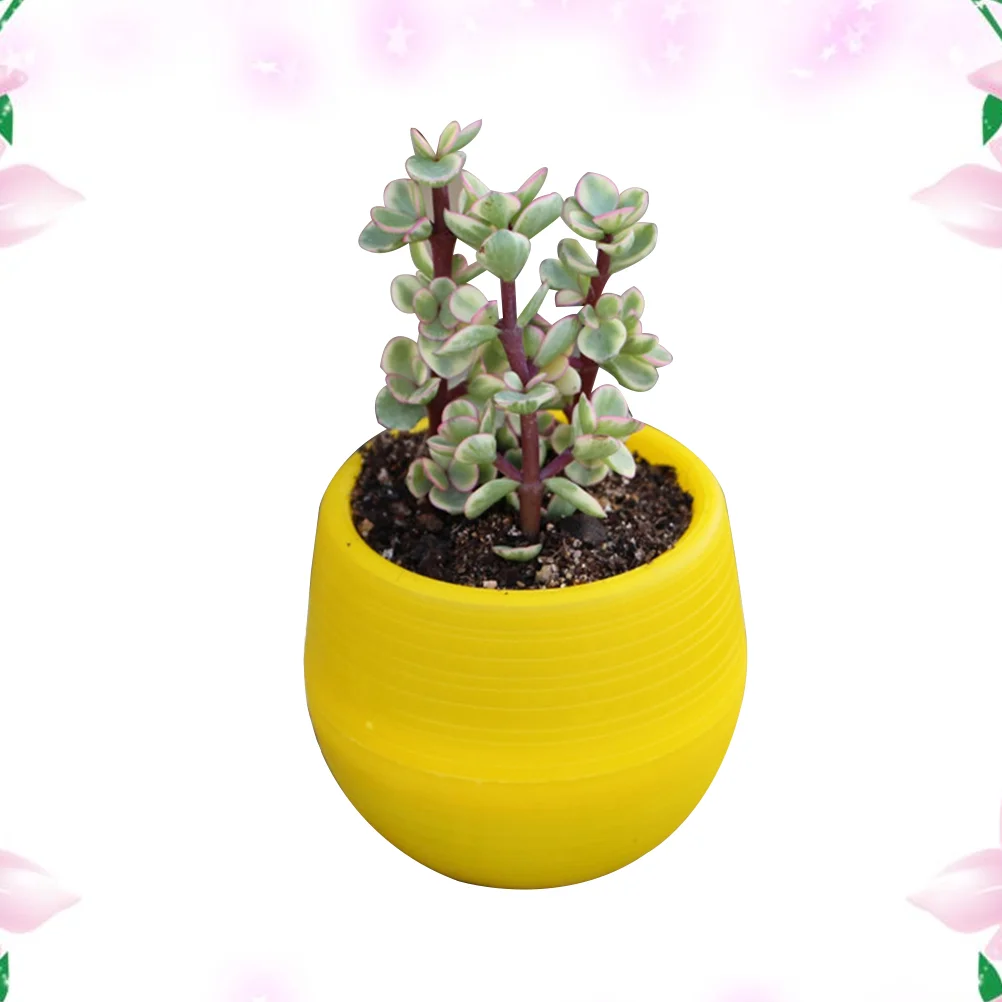 

Mini Round Resin Flower Pot Solid Color Planter Home Office Decor for Succulents Cactus (Yellow) resin pot