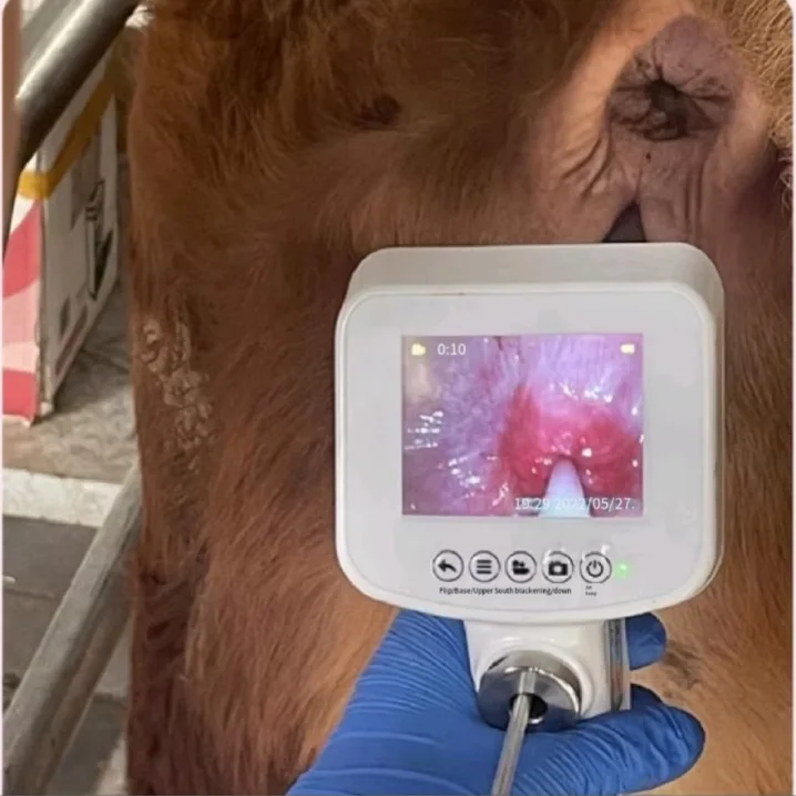 Video Cattle AI Gun Farm Instrument Cow Artificial Insemination Gun for Cattle Equipment Vet Equipment