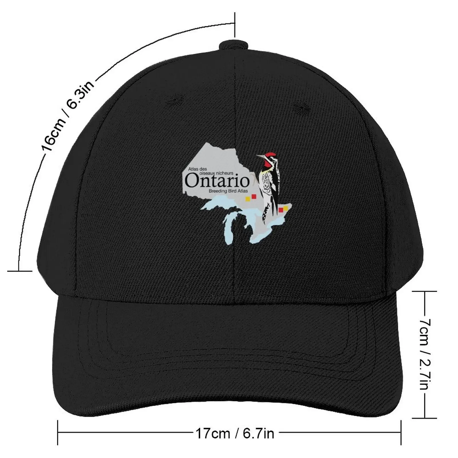 Ontario Breeding Bird Atlas Standard Logo Baseball Cap Snap Back Hat Sports Cap custom Hat Women Hats Men's