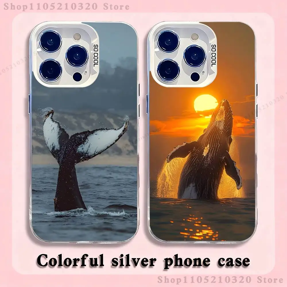 

ocean fish whales Phone Case For iPhone 17,16,15,14,13,12,11,Pro,Max,Plus,Mini,XS,SE Anti Fall White Matte Hard Bumper