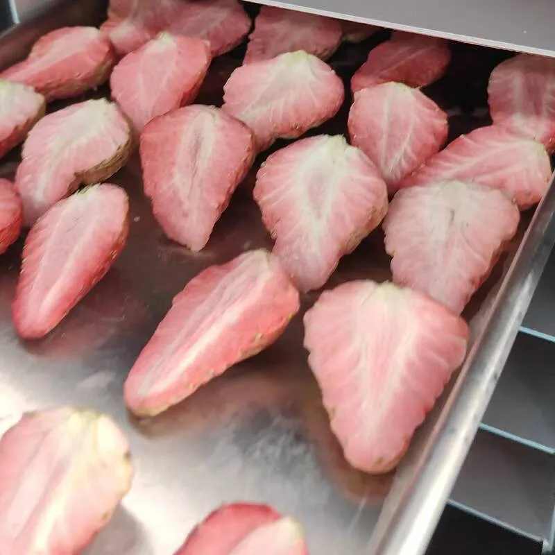 سعة صغيرة 4 كجم مجفف تجميد الطعام الفراغي أغذية الحيوانات الأليفة الفاكهة معدات تجميد الطعام الصغيرة