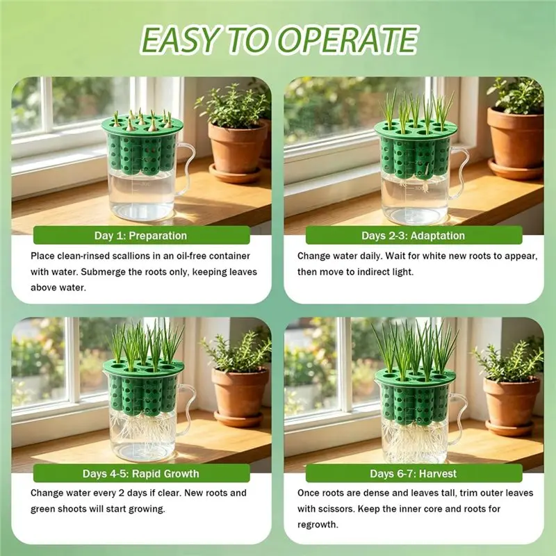 AB41-Green Onion Planter Scallion Regrower Sprouting For Window