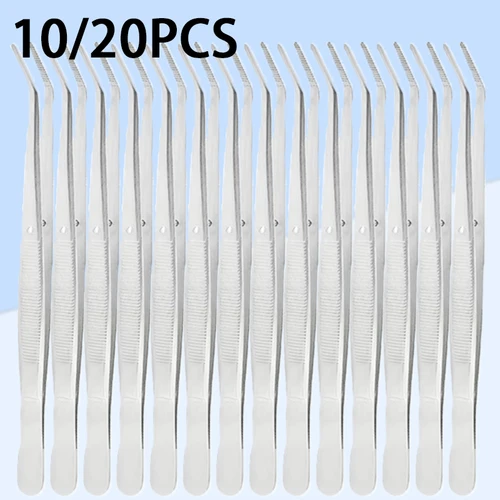 Pinzas de algodón Dental de acero inoxidable, Clip de relleno, pinzas para decoración de uñas, instrumentos quirúrgicos médicos profesionales, 10-20 piezas