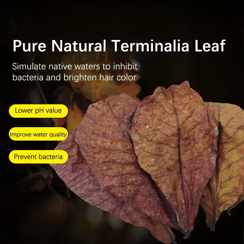 Terminalia Natural, hojas de Truncatula, tanque de peces, Terminalia antibacteriana, regulador de PH para acuario, suministros de tratamiento de calidad del agua