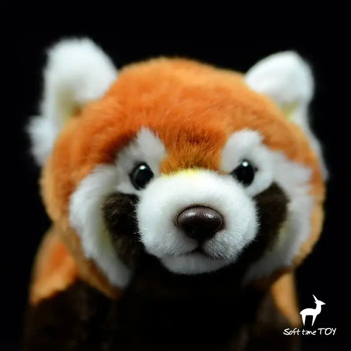 28cm,Ailurus Fulgens, Realistic Red Panda Stuffed,model Gift,Knickknack,nicknack,Small Ornaments and Miniature Models