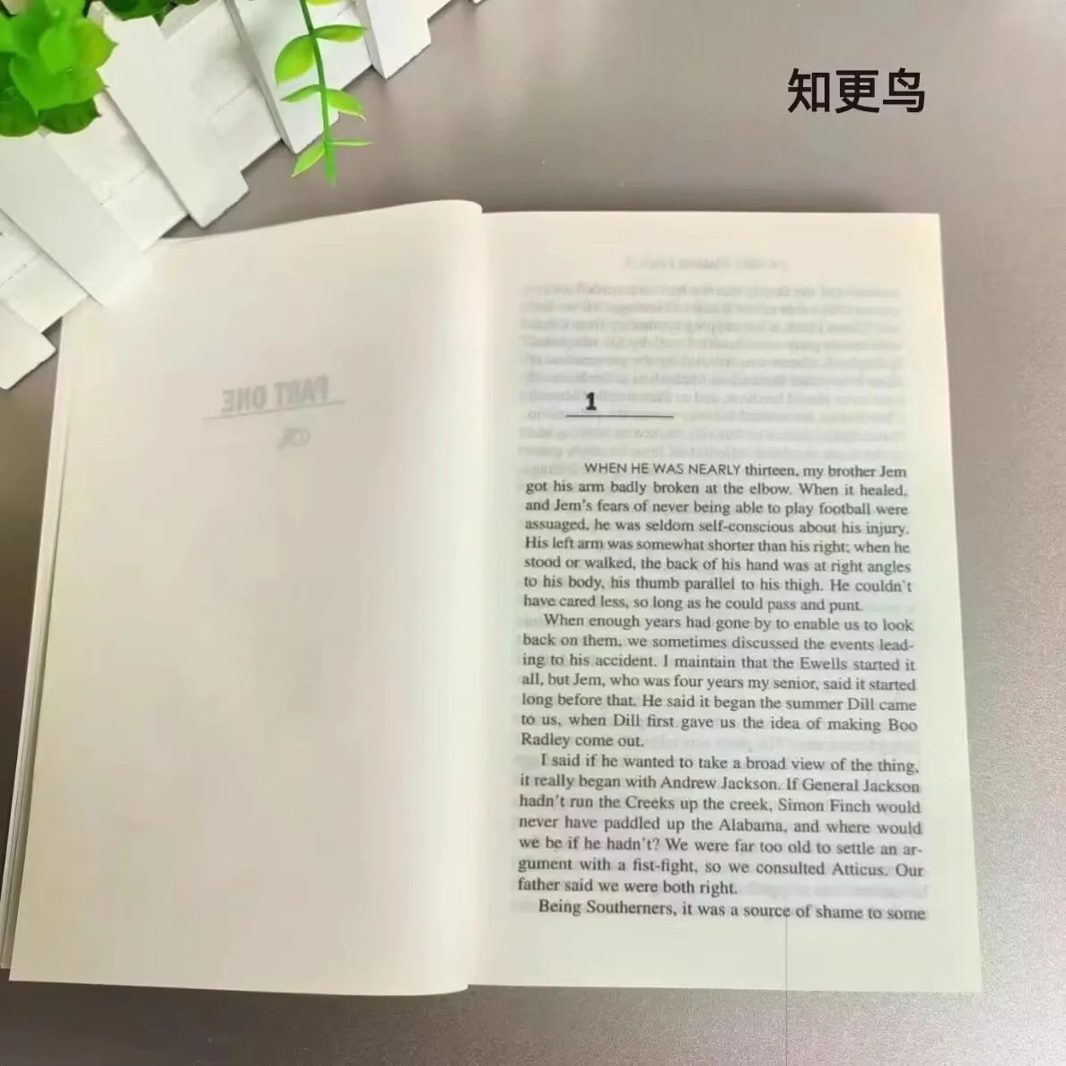 To Kill a Mockingbird by Harper Lee The Original English Novel Modern Or Contemporary Literature Book