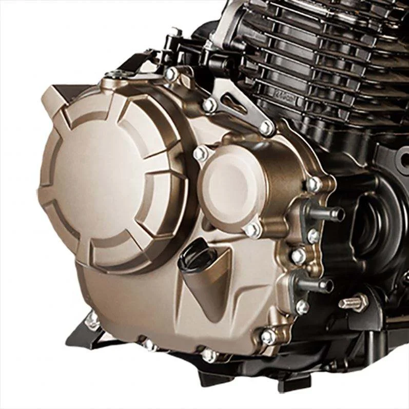 Fe250 4 Stroke Oil Cooling Low Fuel Consumption Motorcycle Engine