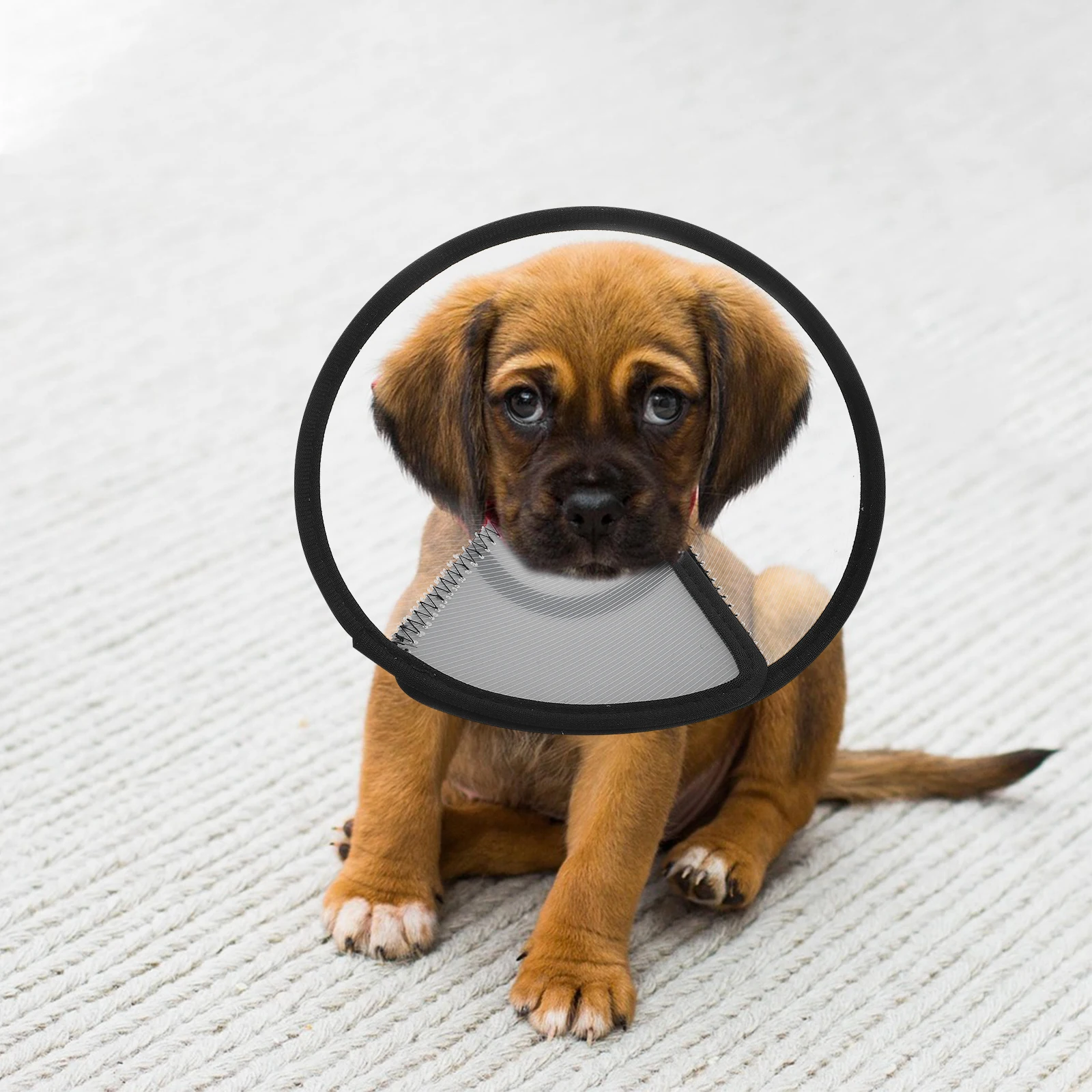 

4 Pcs Pet Anti-Licking Collar Cat Cone Dog Recovery Collars Barrier Neck Guard Elizabeth Protective