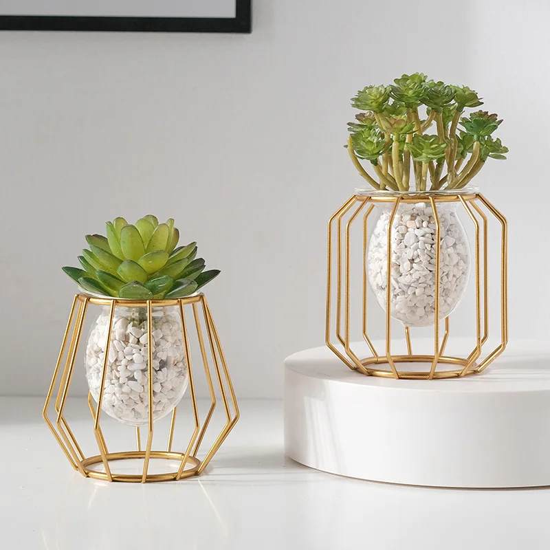 Home creative hydroponic vase ornaments office desktop green radish water plant container table decorations - view 4