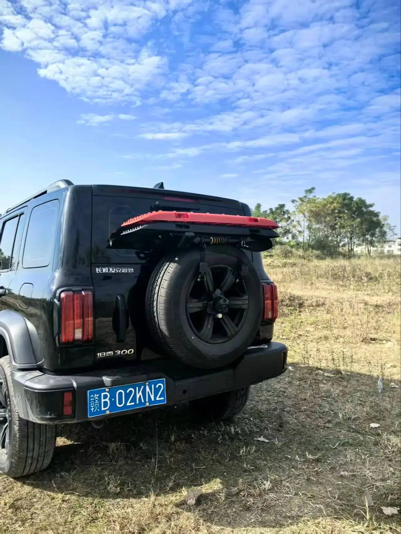 Fahrzeug-Recovery-Board-Halterungen, Traktionsbretter, Montagesatz, Rettungs- und Sandbrett-Recovery-Board-Halterung für Ersatzreifen, 4 x 4, Jeep