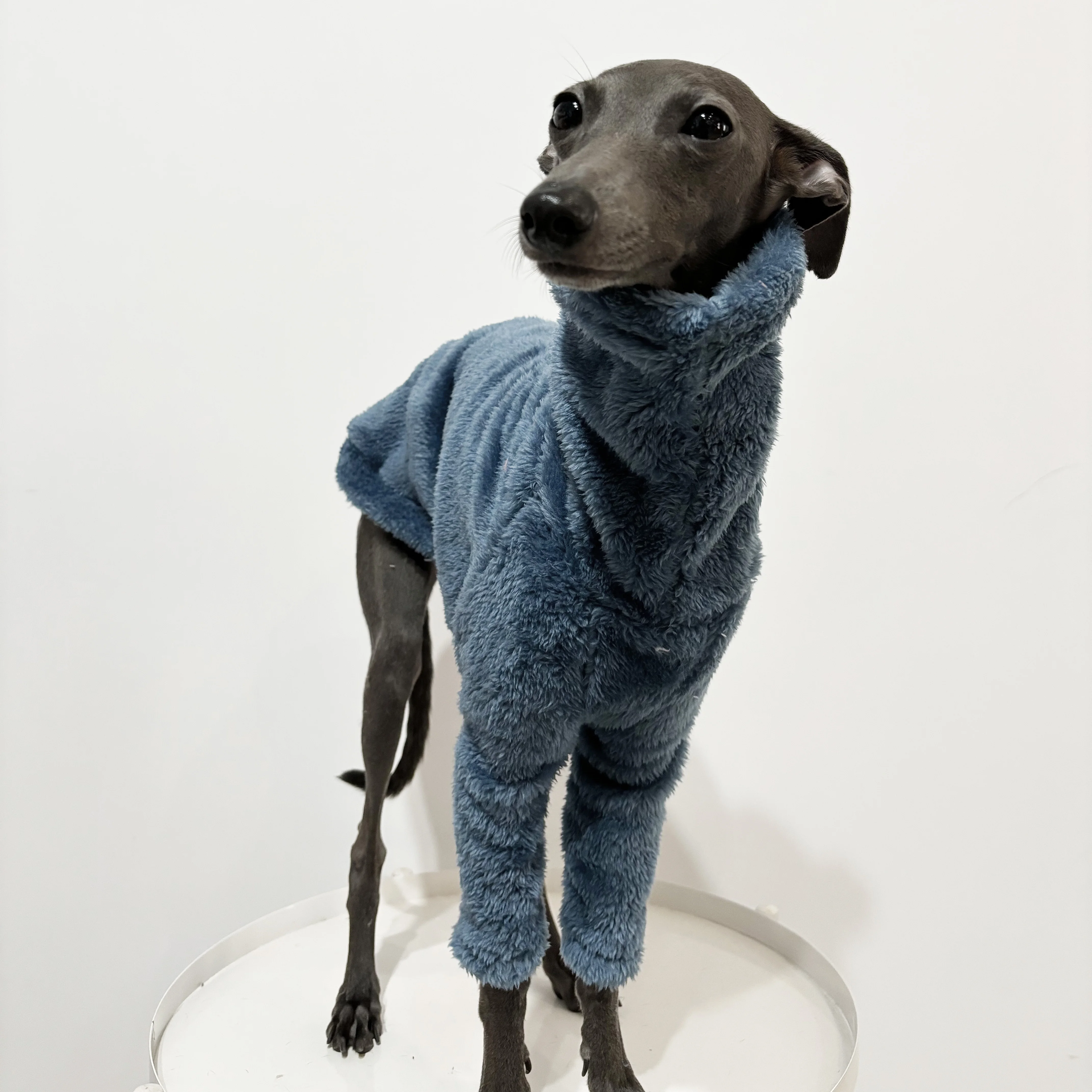 Winterwarmer, einfarbiger Hundepullover aus arktischem Fleece, weiche, hautfreundliche Haustierkleidung für Italienische Windhunde und Whippets.
