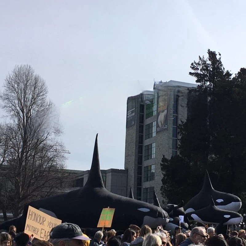 Outdoor Parade Advertise  Black Giant Inflatable Whale Waterfront Event