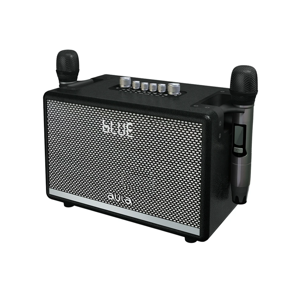 Роскошный DSP звук 100 Вт, профессиональный аудиодинамик, беспроводной Bluetooth, домашнее караоке-радио, одиночный постоянный ток типа C, водонепроницаемый бас, дерево, AUX