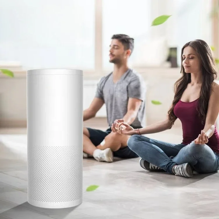OEM ODM CADR600 Purifier Aer High Quality TUYA Smart Pet air Purifier for 72 Sqm