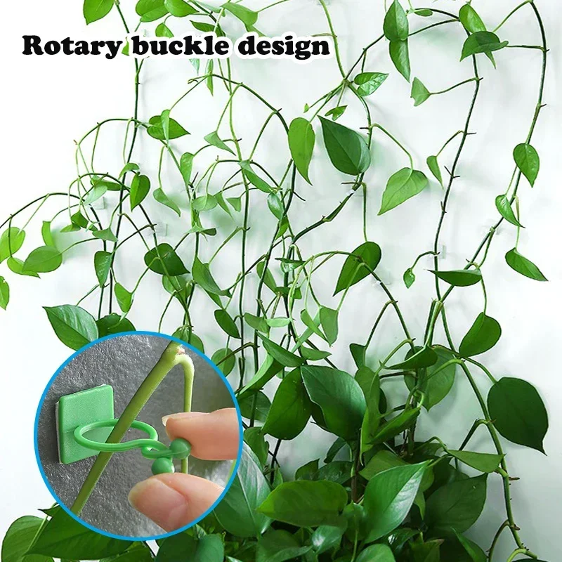 Plant Climbing Wall Fixture Clip Rattan Vine Fixer Self-Adhesive Hook Invisible Garden Binding Wall Sticky Holder Bracket Buckle