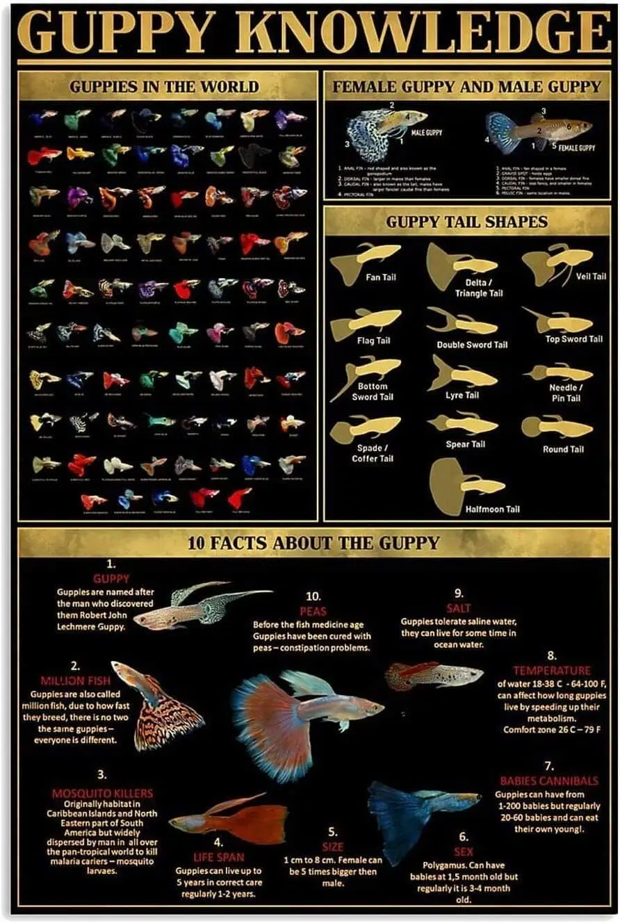 

f1,Guppy Knowledge Metal Tin Signs Guppies In The World Information Retro Poster Popular Science Educational Charts Wall Plaques