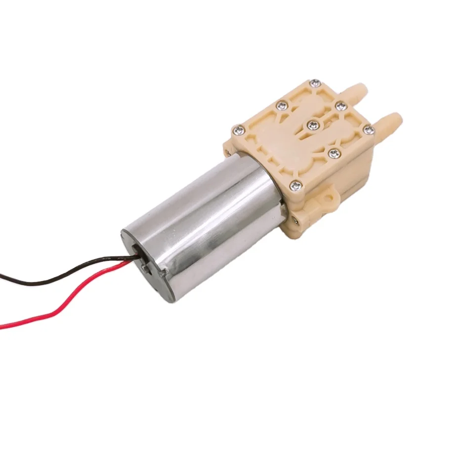 

4-6bar High Pressure 2.5L/M 12V Brushless DC Motor Water Suction & Vacuum Pump with Diaphragm Structure for Spray Use in China