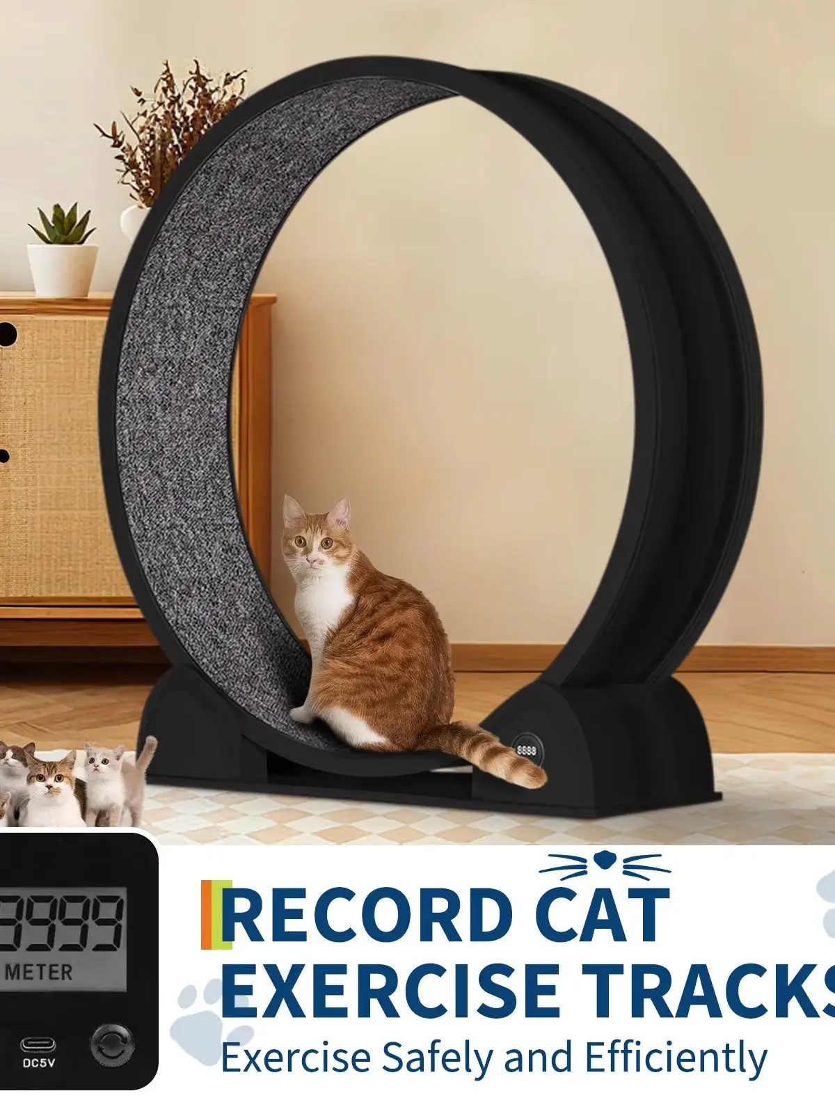 115cm Großes Katzen-Laufband, Schwarz, ABS, Geräuscharm, mit Digitalanzeige, Abnehmbarer Teppich, Indoor-Haustier-Spielzeug für Gewichtsverlust und Gesundheit