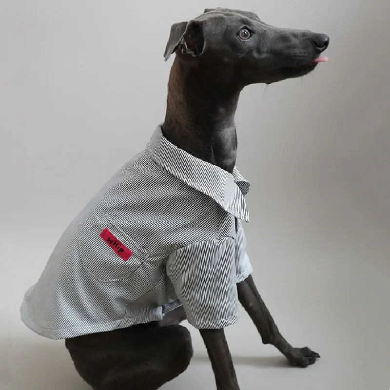 Camicia per cani di grossa taglia estate vestiti per animali domestici di grandi dimensioni barboncino Corgi samoied Border Collie Husky Labrador