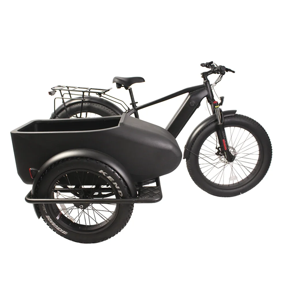 Bicycle Sidecar Fat Tire Electric Bike Sidecar For Ebike Wide Tyre 20''*4.0''