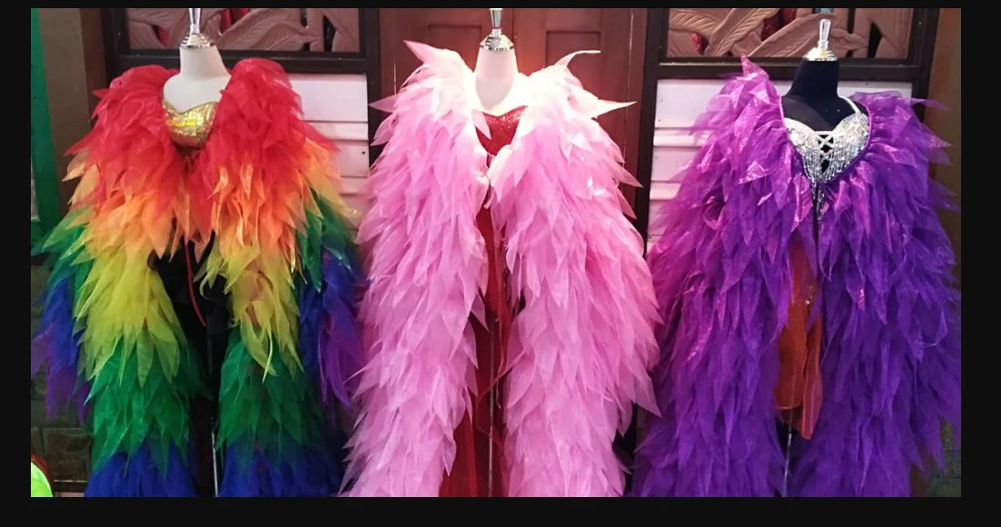 Long Sleeved Organza Fluffy Cloak Cape Drag Queen Coat Custom Color Wedding Party Dance Jacket