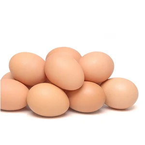 Yumurtanın 6 büyük satışı, yanlış-no. 6