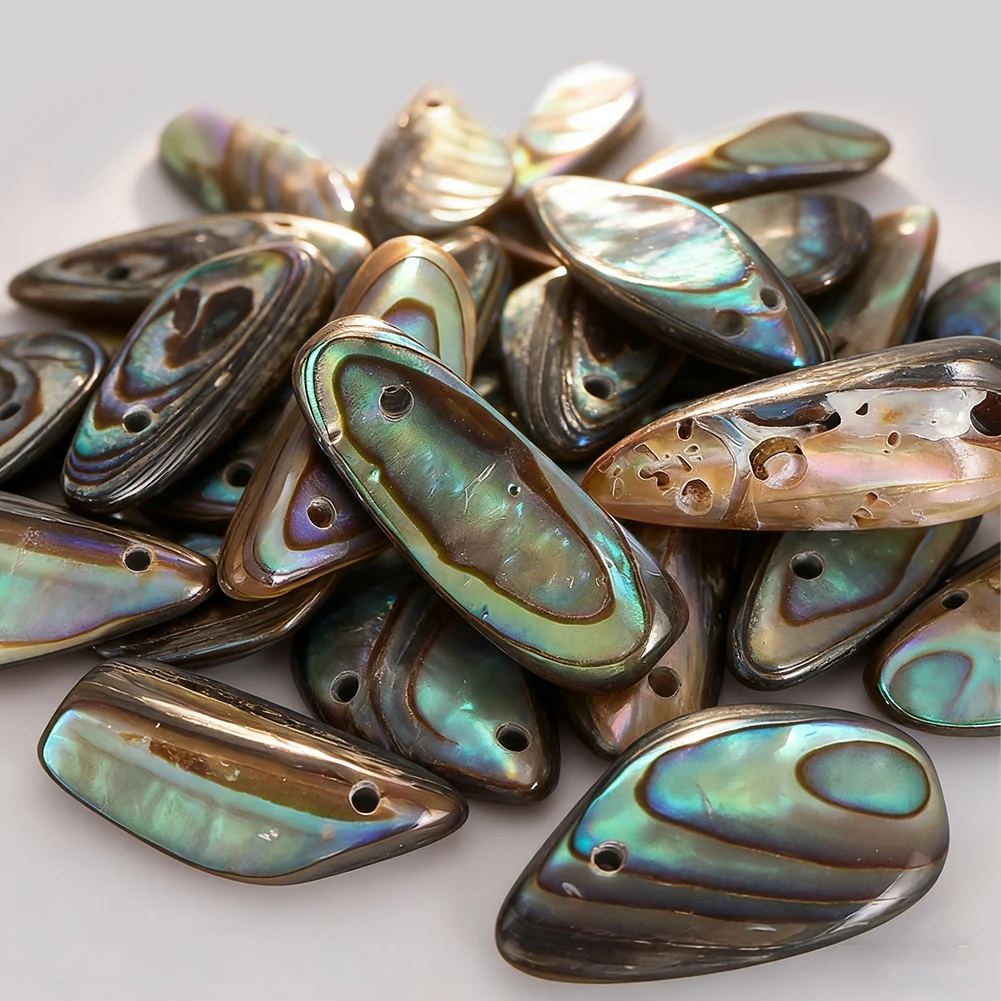 6pcs Natural Abalone Paua Shel - Jewelry Making New Zealand 评论和价格