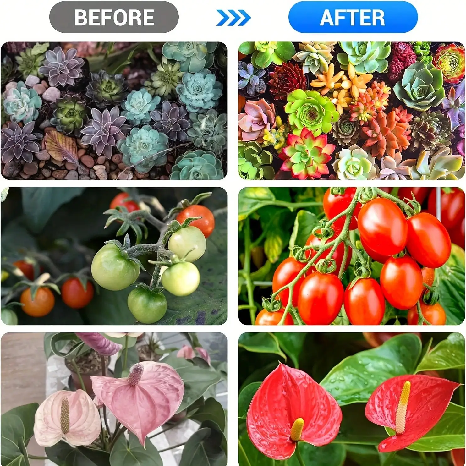 توقيت USB يعتم ضوء LED بأربعة رؤوس للنمو. الطيف الكامل 3-وضع - إضاءة نباتية داخلية تجارية لنمو صحي.