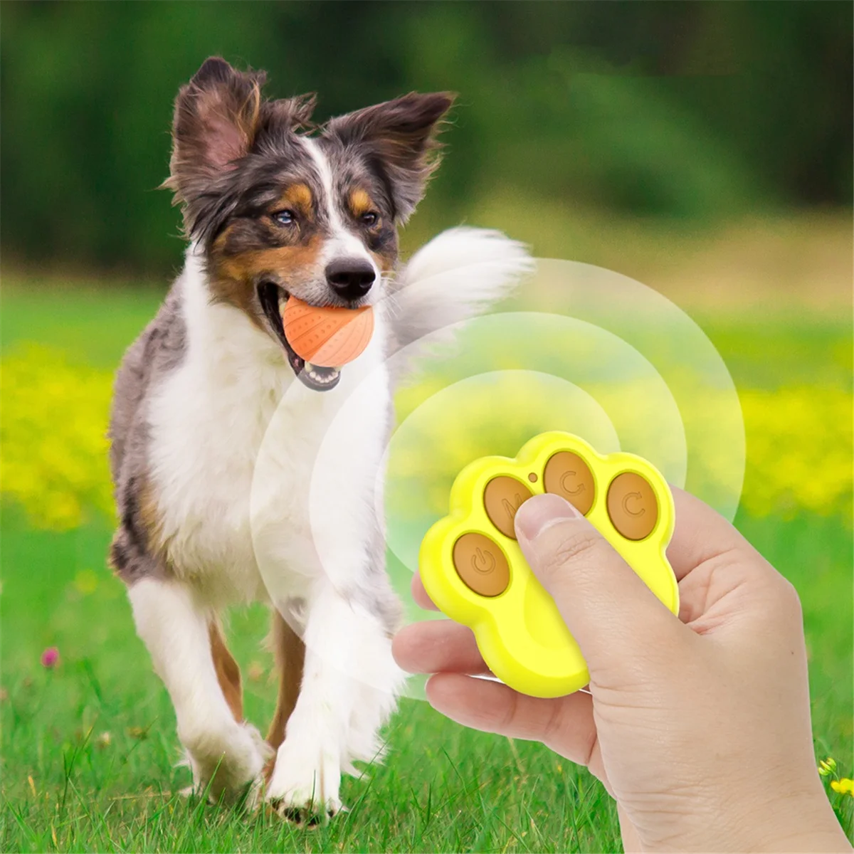 AT13 Intelligent Interactive Dog Toy Ball Active Rolling Ball for Puppy/Small Dog with LED Lights with Remote Control-Green