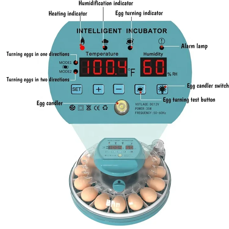 Newest Mini Incubator 30 Eggs Automatic Egg Incubator Dual Power