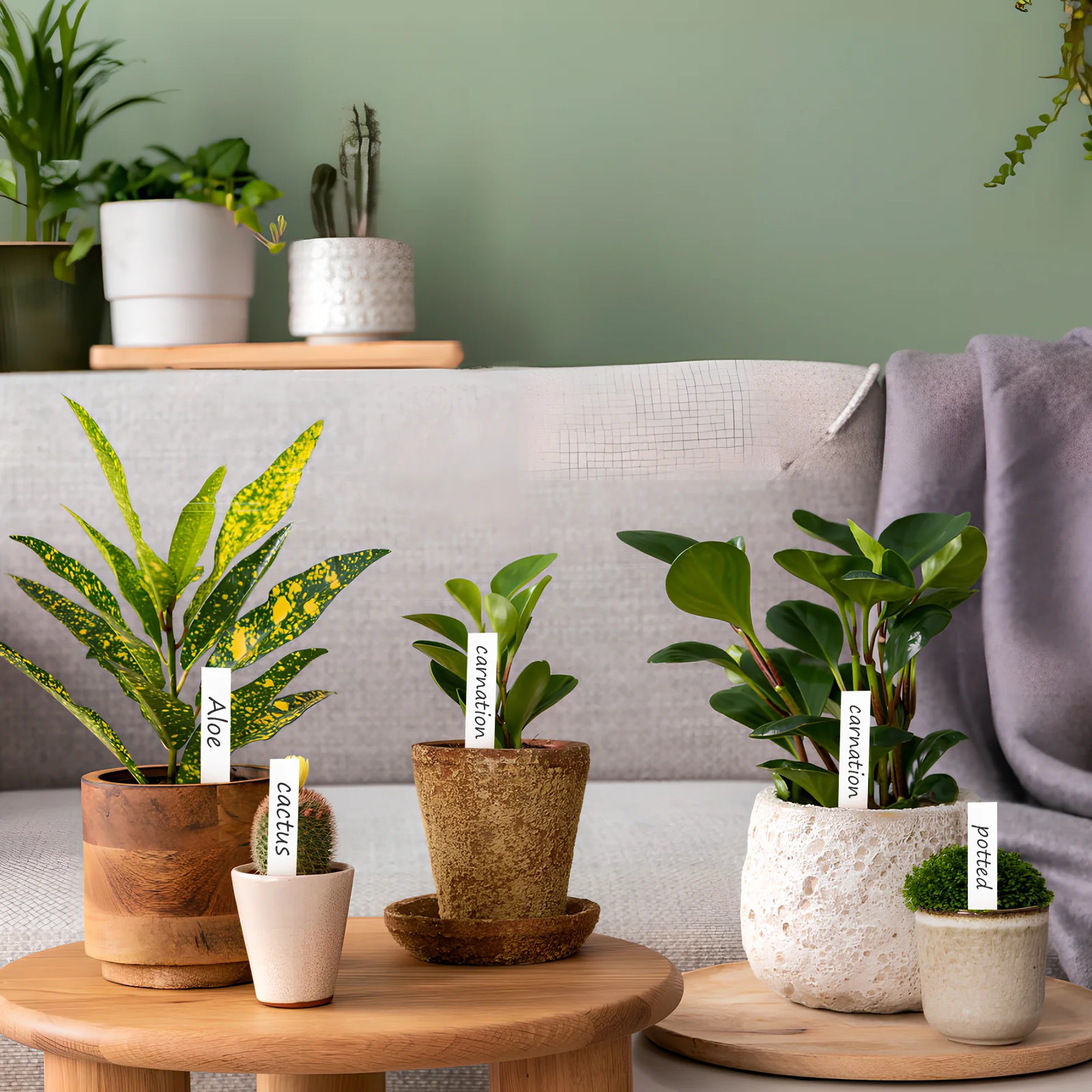 

120 шт. бирок для растений, садовых этикеток для использования на улице и в помещении, устойчивых к погодным условиям, многоразовых, с возможностью письма, для идентификации растений в саду