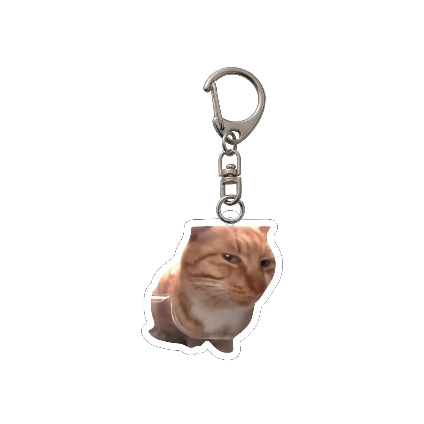 Grappige Cat Memes-serie sleutelhanger Student Gift Bag Lanyard Damestas hanger sleutelhanger Leuke dingen Goedkoop cadeau voor beste vrienden