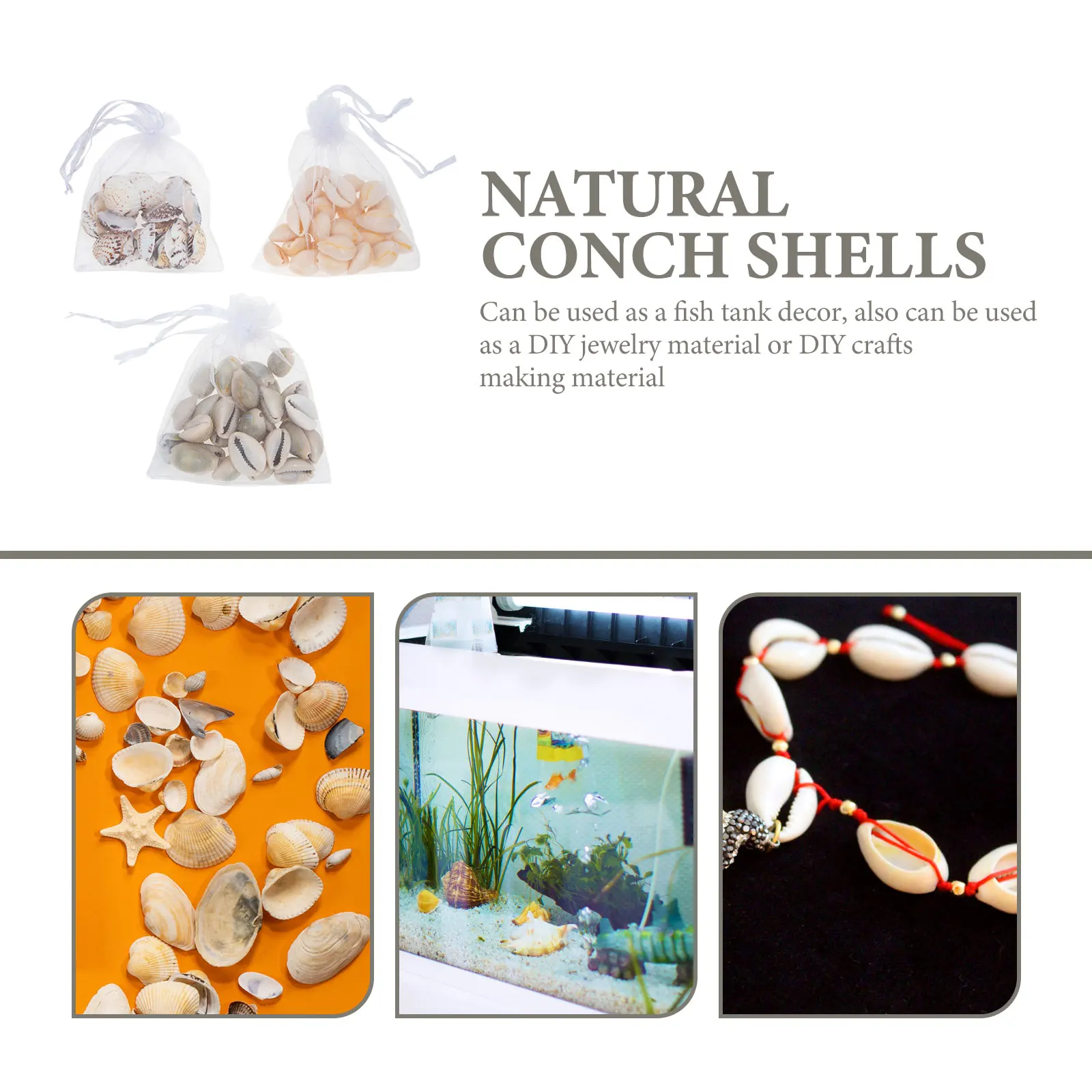 

1 set 1 Set Ocean Style Sea Shell Conch Decor For Fish Tank Landscaping Desktop Diy Crafts Material Natural