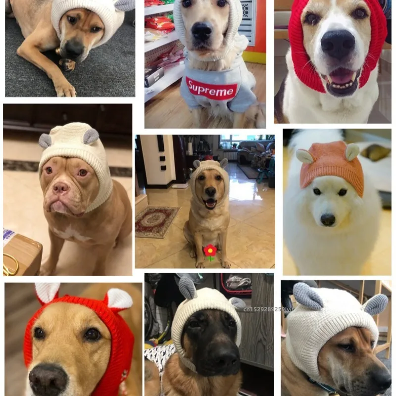 الشتاء الدافئة الكلب قبعة الأذن يفشل حماية الضوضاء يندبروف آذان الحيوانات الأليفة يغطي محبوك غطاء للأذنين لملحقات جرو صغير متوسط