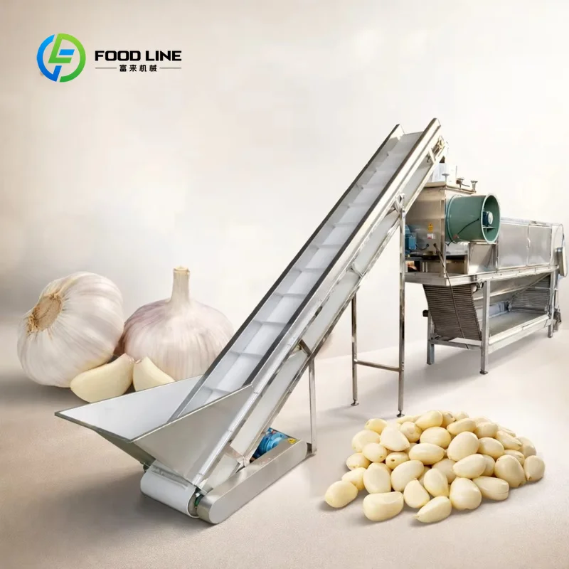 Customized High Output Electric Garlic Peeler Equipment Automatic Garlic Washing Line Home Use Fruit Peeling Processing Line