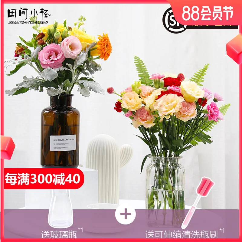 Shenzhen flower express city carnation red rose flowers mix and match monthly and weekly flowers home carnation flowers.