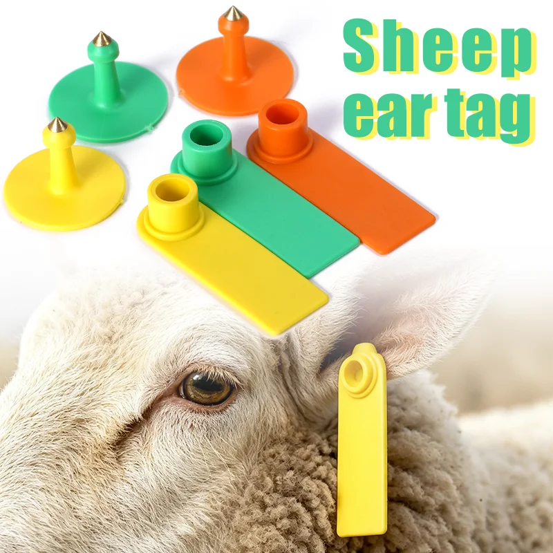 Sheep Ear Tag 100Pcs Without Words Flock of Goat Identity Recognition Livestock Ear Tag Animal Husbandry Mark Tools Equipment