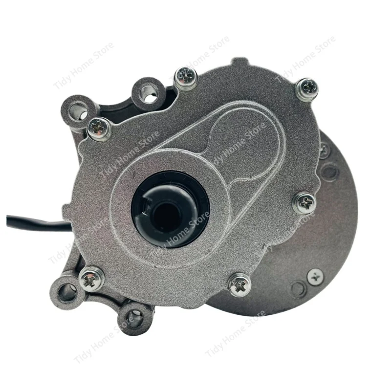 MY1016Z Permanent Magnet DC Brushed Low Speed Secondary Geared Electric Vehicle Motor 24V250W Wheelchair Motor